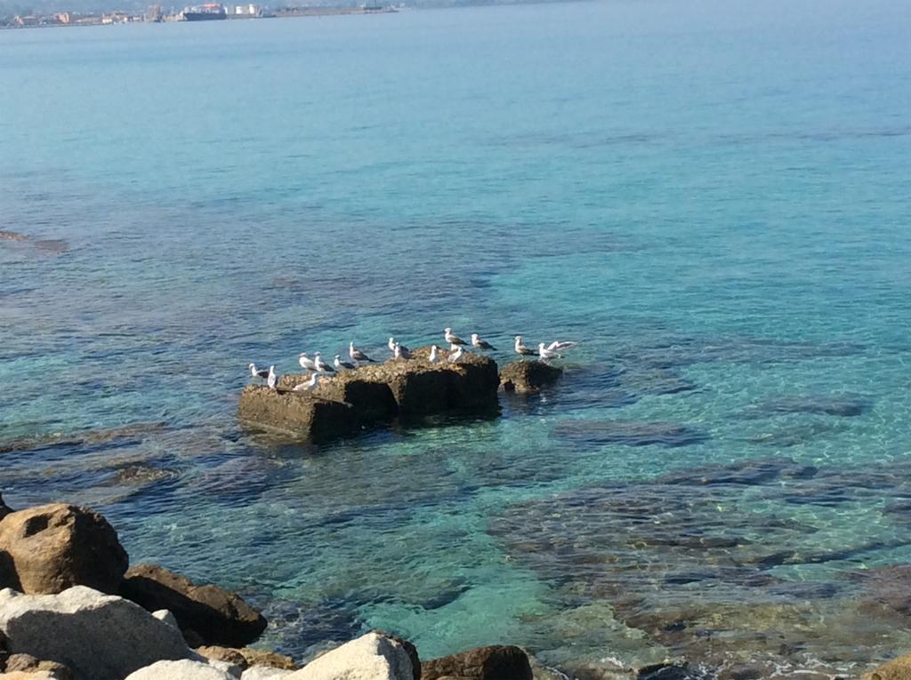 Marina Holiday Home Pizzo  Bagian luar foto